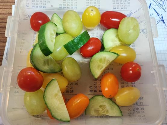 Dose mit Tomaten (gelbe, orange und rote), Weintrauben und Gurke