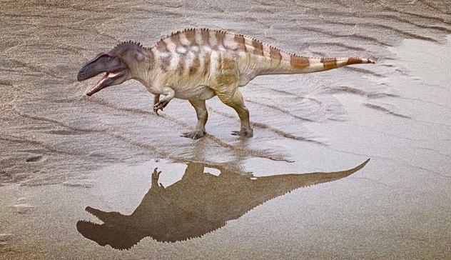Photograph of a theropod dinosaur (the PNSO Acrocanthosaurus) strolling on a rippled sand beach.