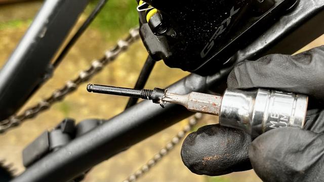 Chocolate Allen bolt extracted using next size up security torx bit