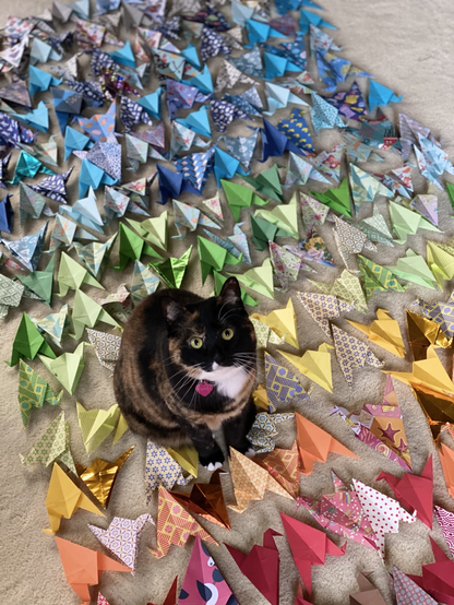 Tortoiseshell cat sitting on top of rows of colorful origami cranes