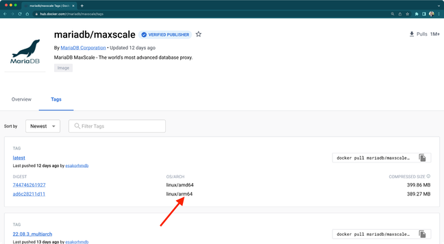 MariaDB MaxScale Docker image now supports ARM architectures.