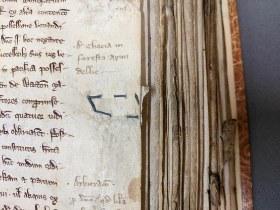 Manuscript page with iron gall ink. Blue thread stitched in a skewed rectangle. All remnant of parchment projecting from the foredge.