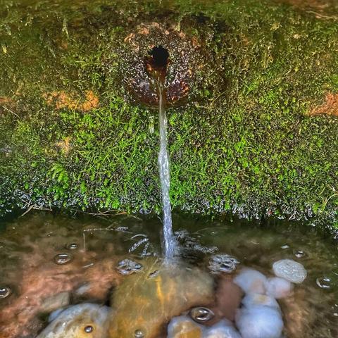 Photo of the Spout of the interior of a well house. The water is clear and the basin is covered in moss and stones.