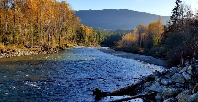 Looking upstream, at Koksilah River.  Autumn coloured trees & mountains in the background.