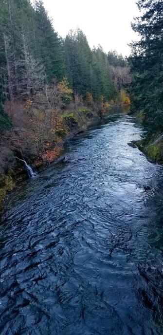 Looking downstream at Koksilah River.  Little waterfall is on the left. Forest surround the river. Trees with Autumn colours are visible.