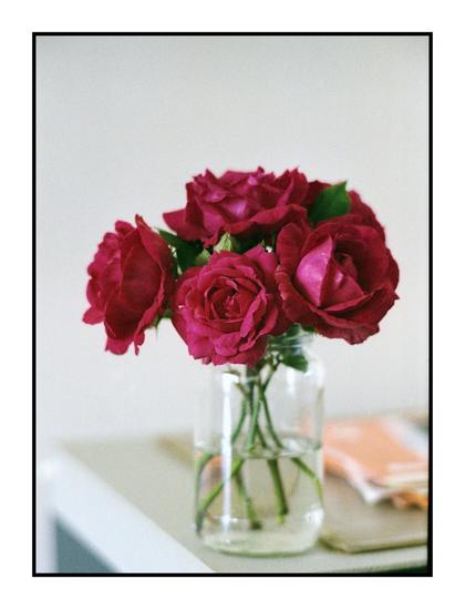 Red roses in a jar