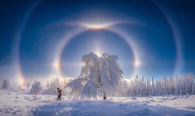 Photo of a snowy mountain in Germany. A snow-covered tree is in the center with a person standing next to it. And in the sky are several ice halos, an outer halo, an inner halo with false suns on either side, and a bird-shaped arc on top.