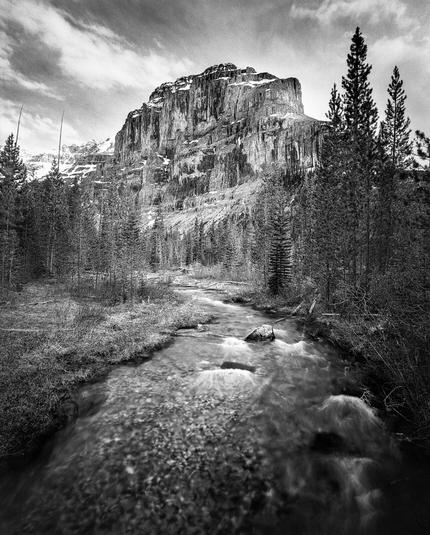 A wall of black limestone rises above a stream from glacier runoff from nearby Stanley Glacier in British Columbia