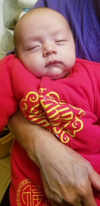 Baby Raven Sol, fell asleep.  Wearing his red Chinese plush outfit.
