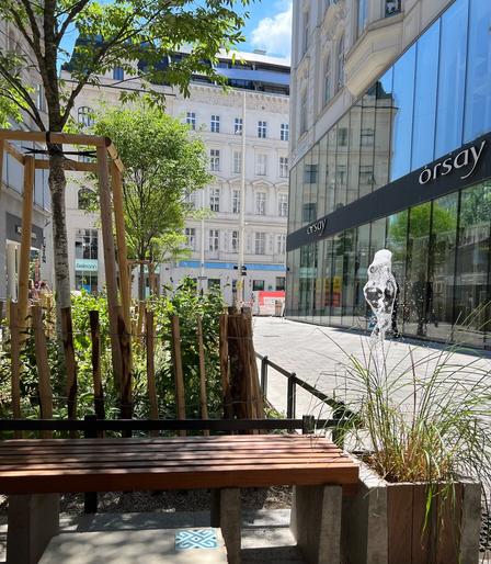 Baum in der Zollergasse wirft Schatten
