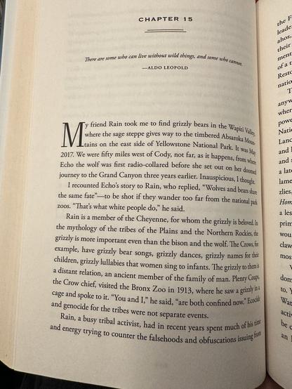 Image of a page of a book 

CHAPTER 15
There are some who can live without wild things, and some who carmor.
-ALDO LEOPOLD
-y friend Rain took me to find grizzly bears in the Wait Vals, rains on the east side of Yellowstone National Park. It was Mar
2017. We were fifty miles west of Cody, not far, as it happens, from where Echo the wolf was first radio-collared before she set out on her doomed journey to the Grand Canyon three years earlier. Inauspicious, I though.
I recounted Echo's story to Rain, who replied, "Wolves and bears share the same fate" to be shot if they wander too far from the national park zoos. "That's what white people do," he said.
Rain is a member of the Cheyenne, for whom the grizzly is beloved. In the mythology of the tribes of the Plains and the Northern Rockies, the grizzly is more important even than the bison and the wolf. The Crows, for example, have grizzly bear songs, grizzly dances, grizzly names for their children, grizzly lullabies that women sing to infants. The grizzly to themis a distant relation, an ancient member of the family of man. Plenty Coups the Crow chief, visited the Bronx Zoo in 1913, where he saw a grively ind eageand spoke to it. "You and I," he said, 'are both confined now Batik and genocide for the tribes were not separate events.
Rain, a busy tribal activist, had in recent years spent much ofhisti and energy trying to counter the falschoods and obfuscations ising hi