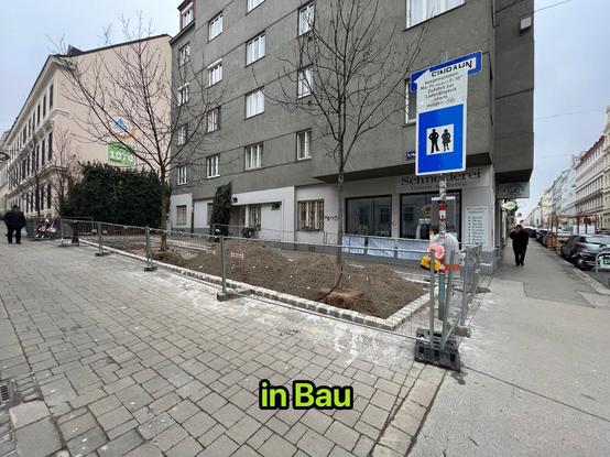 die Grünfläche in der Myrthengasse im Bau