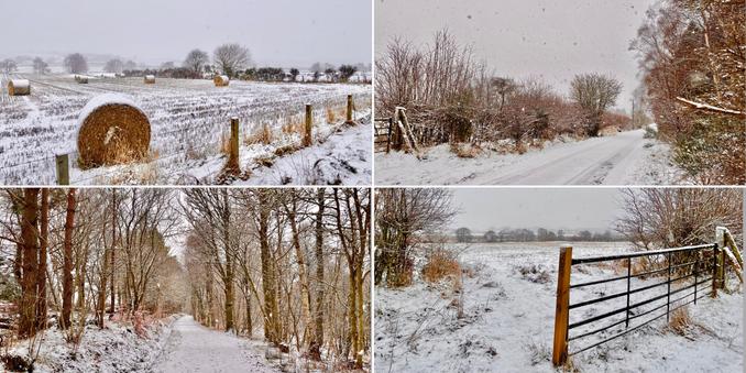 Snowy scenes, white and brown, of the countryside and woods. Bales in a field, a gate into a field, a snow covered road and a snowy path in the wood.