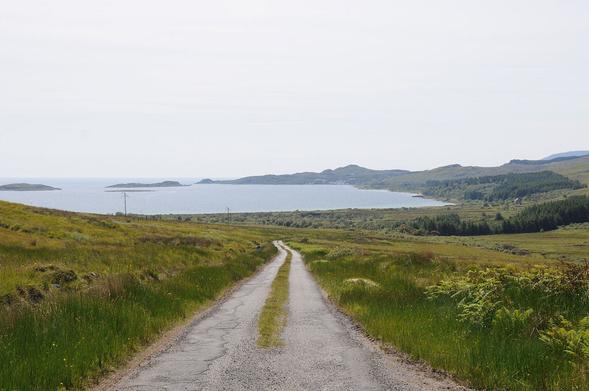 The image shows the view along a road that is going gently downhill towards a broad bay that faces to the left. There is vegetation on both sides, and growing in a strip along the middle of the road.