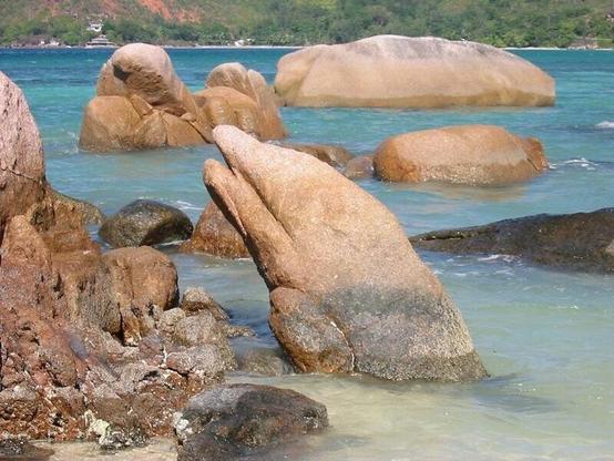 A rock formation in the ocean near the shoreline in the shape of a dolphin