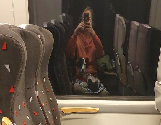 Bild von mir und meiner Hündin die auf dem Schoß sitzt, im Spiegelbild des Zuges.