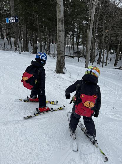 My twin boys in their ski gear standing in front of a glade of trees covered in snow