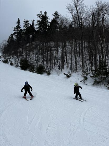 My two boys skiing down a snow covered slope with trees in the background
