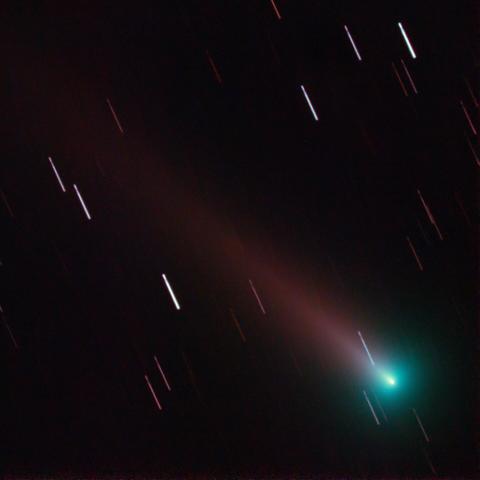 Comet C/2021-A1 Leonard (regular processing)