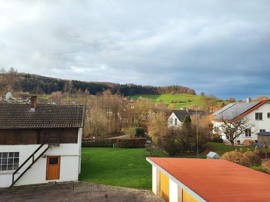 Blick aus dem Wohnzimmerfenster. Leichte Anhöhe braune Bäume, grüne Wiesen und die Sonne quält sich langsam raus.