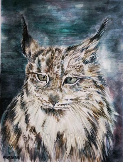 Lynx - Watercolour