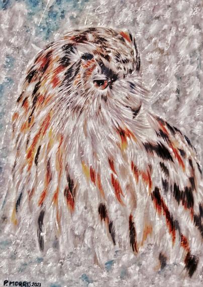 Owl - Watercolour