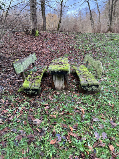 Eine Sitzgelegenheit von Moosen überwuchert