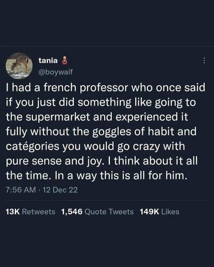 tweet by @boywaif that reads "I had a french professor who once said if you just did something like going to the supermarket and experienced it fully without the goggles of habit and catégories you would go crazy with pure sense and joy. I think about it allthe time. In a way this is all for him."