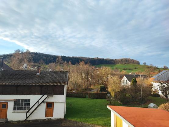 Blick aus dem Wohnzimmerfenster. Leichte Anhöhe mit braunen Bäumen und grünen Wiese. Der Himmel ist bewölkt. Ab und zu kommt die Sonne raus.