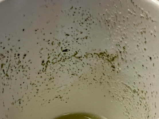 Photo of the inside of a white mug, with the dregs of some green tea stuck to the sides in the form of tiny specks of tea leaves.  In the center, there seems to be a thicker concentration, and they appear to spell out, in cursive, "your mom".