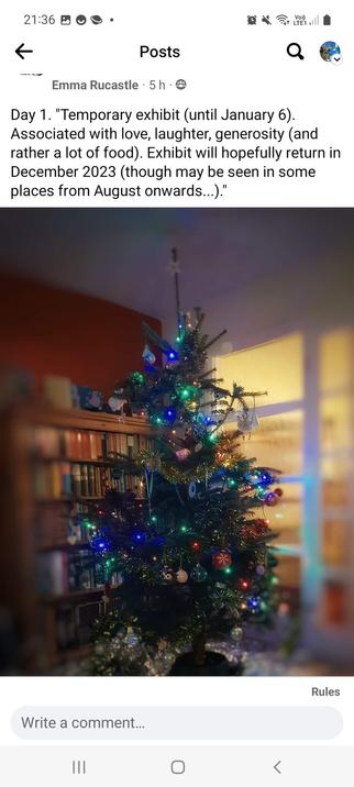 A photo of a Christmas Tree.