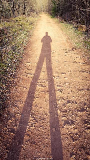 A long shadow of a person over a pathway in a open landscape.