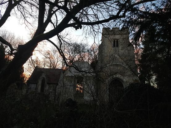 Trees surround the ruins of St. Mary's church Eastwell in Kent.