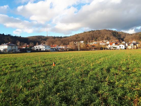 Flächenschwerpunkt von Tegernheim