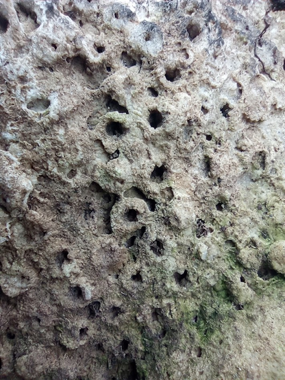 Détail des petits trous, très érodés.