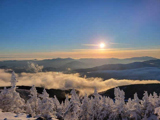 Landscape view from the top of a mountain with the sun coming up and lighting valleys filled with white clouds while in the foreground a fringe of snow covered evergreen trees