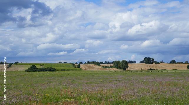 Eine diverse Agrarlandschaft mit Hecken, Wiesen und Feldern.