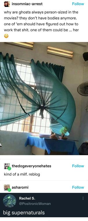 insomniac-arrest: why are ghosts always person-sized in the movies? they don’t have bodies anymore. one of ‘em should have figured out how to work that shit. one of them could be … her 😳
Photo of a pair of green net curtains billowing in a window in such a way as to suggest large breasts in a bra
thedogeveryonehates: kind of a milf. reblog.
asharomi: Screenshot of a comment: Big supernaturals