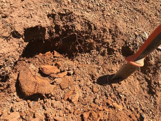 Road cut exposure of reddish brown silty soil in Butte Falls Oregon.  Small trowel aside freshly exposed soil.