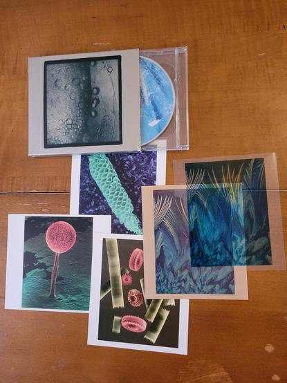 Images of microscopic life on CD inserts.