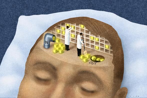 Over time, as memories get encoded in the cortex, many of those spatial and temporal details fade. What remain are the elements representing the essential core of the memory. Image credit: Dave Cutler.