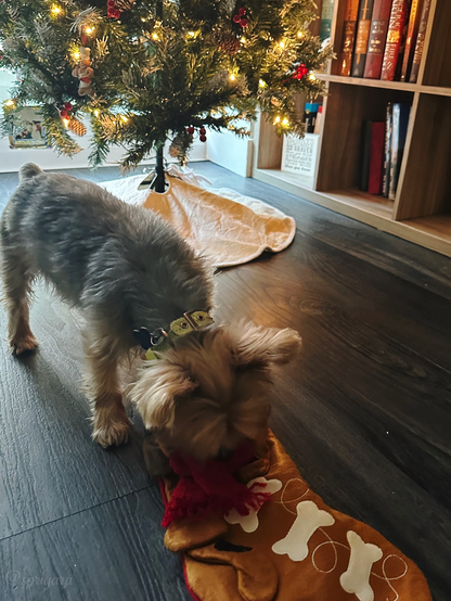 Yorkshire terrier sniffing and pawing at a red Christmas stocking adorned with a brown cartoon dog with dark brown spots, a red scarf, and a green Santa Claus hat in front of a Christmas tree with warm white lights and a kallax full of books