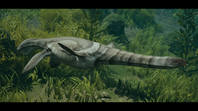 A female kaiwhekea swimming in the shallows. Her silvery swirly patterns are inspired by dolphins.