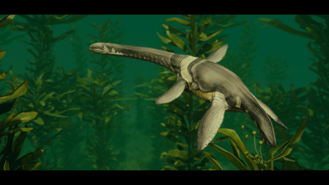 A female kaiwhekea swimming in a kelp forest. She has silvery dolphin-like patterns with a yellowhighlight along her sides and belly