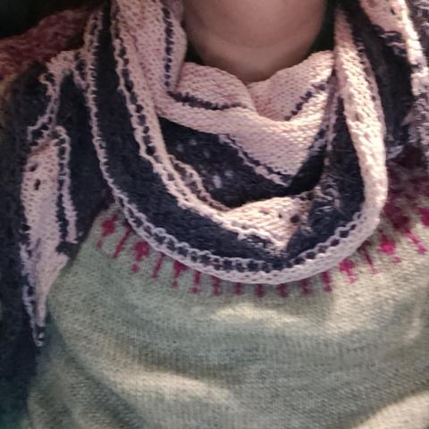 Halo of Light Shawl knit in Cascade Heritage Sock in pale pink and purple and Ducky Darlings sock in a variegated light pink