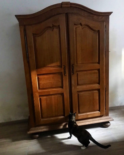 A Woden wardrobe. A cat trying to get into it.