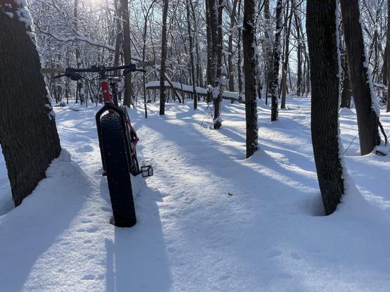 Fat bike on not yet packed trail in the forest on a beautiful sunny afternoon.