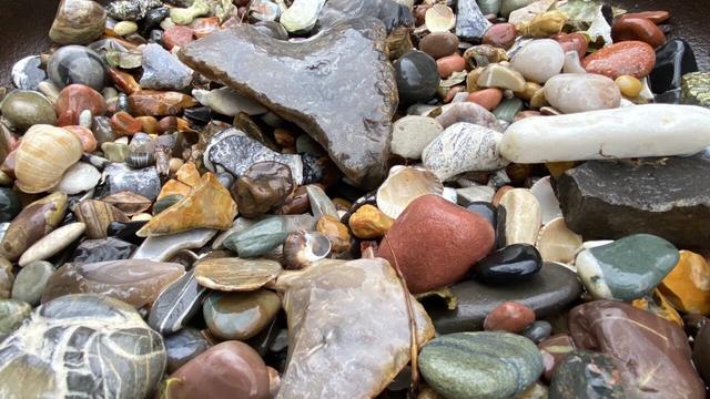 @johannamaria@mastodon.green — #stones — Steinsammlung im Regen. Zu sehen sind verschiedene gemusterte Kieselsteine, Flint, Schneckenhäuser und Muscheln. Durch die Feuchtigkeit strahlen die Farben der Steine besonders stark.