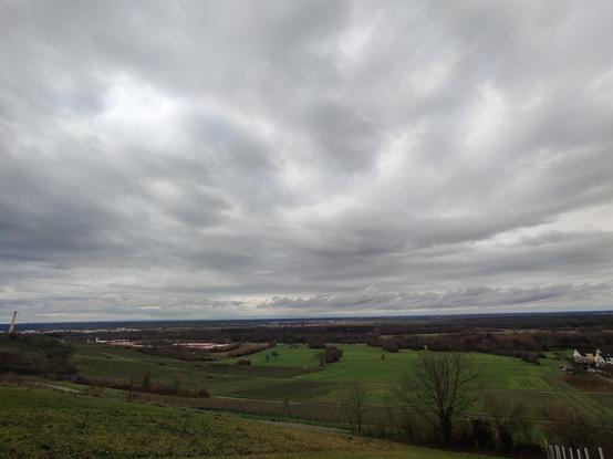 Mountain range in the back: Palatinate