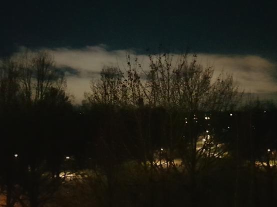 Ein Foto von einem nächtlichen Park, mit Lichtinseln